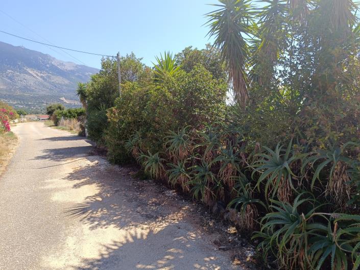 Image No.39-Maison de 3 chambres à vendre à Karavados