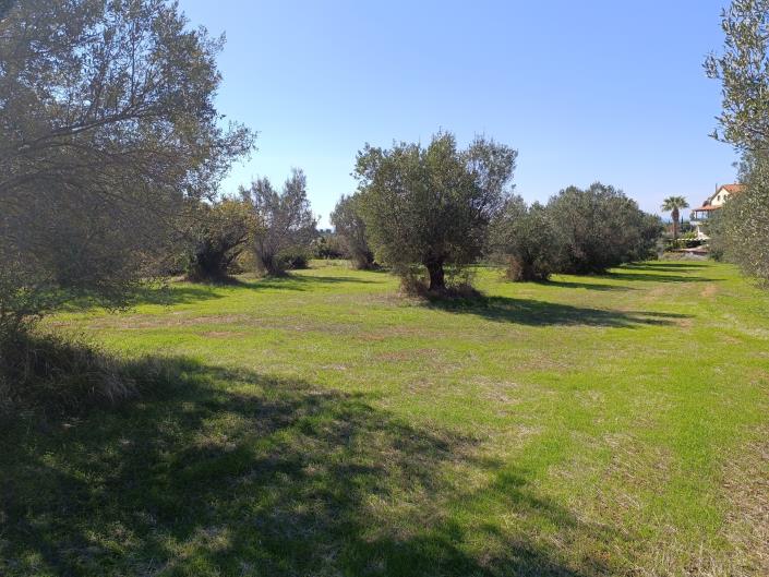 Image No.4-Terre à vendre à Svoronata