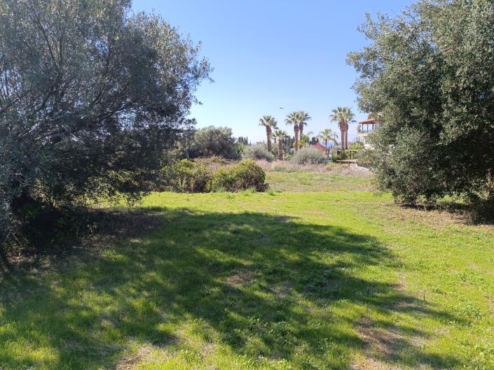 Image No.5-Terre à vendre à Svoronata