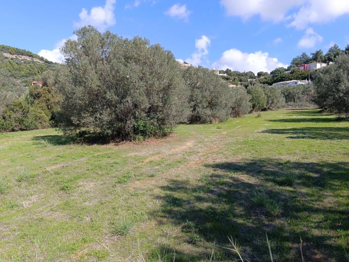 Image No.6-Terre à vendre à Svoronata