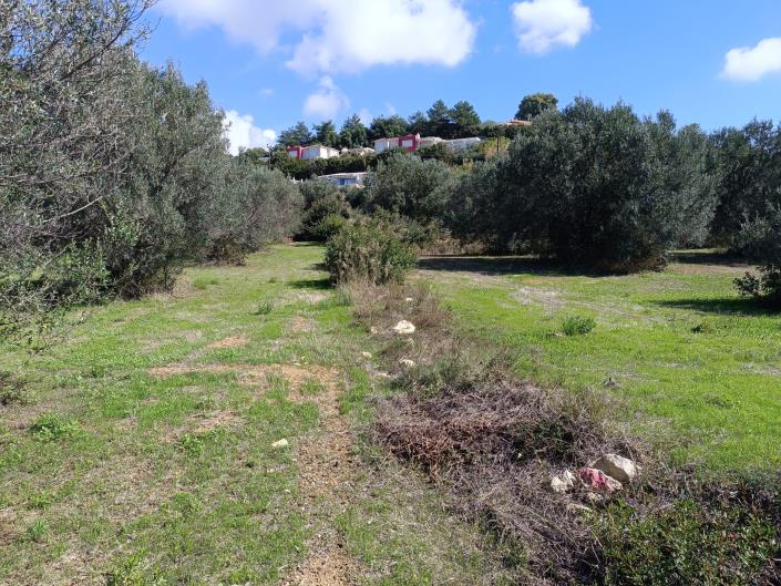 Image No.7-Terre à vendre à Svoronata