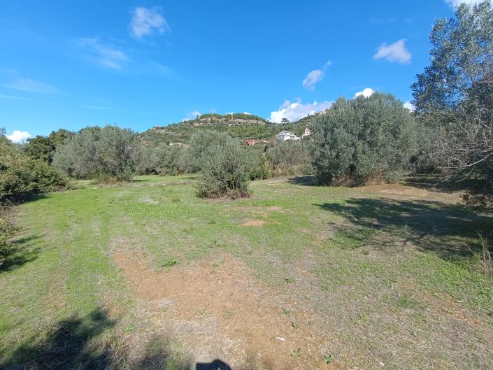 Image No.8-Terre à vendre à Svoronata