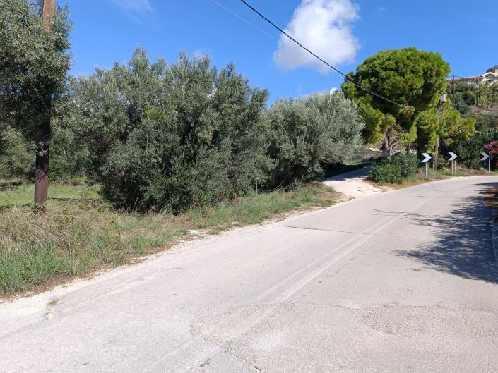 Image No.11-Terre à vendre à Svoronata