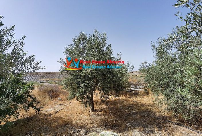 Image No.45-Maison de campagne de 3 chambres à vendre à Huercal-Overa