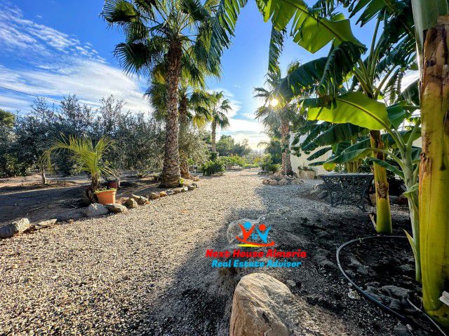 Image No.47-Maison de campagne de 3 chambres à vendre à Águilas