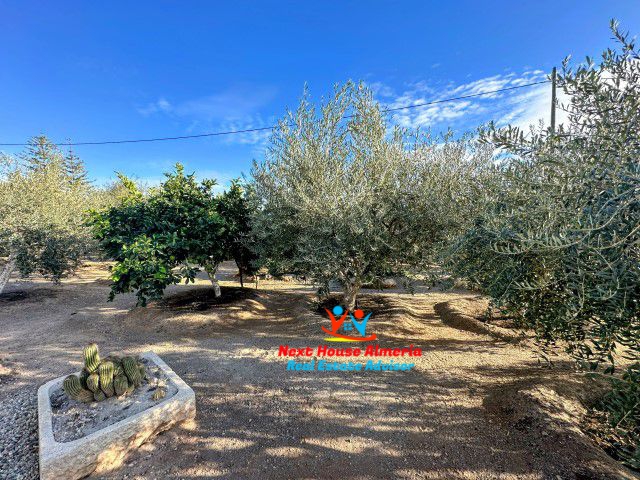 Image No.50-Maison de campagne de 3 chambres à vendre à Águilas
