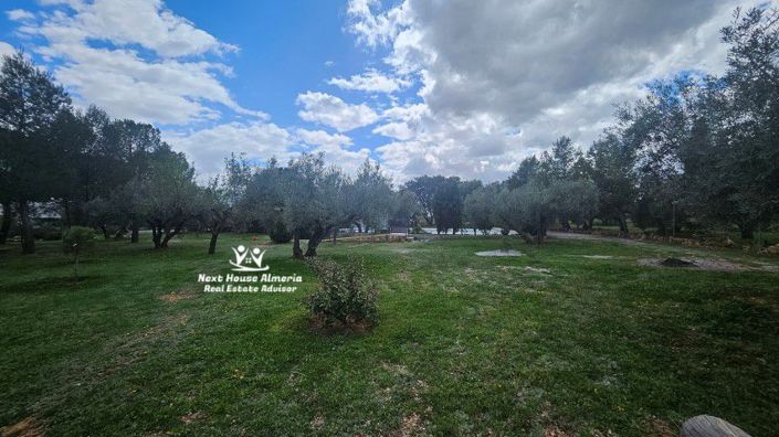 Image No.23-Maison de campagne de 18 chambres à vendre à Pozo Alcón