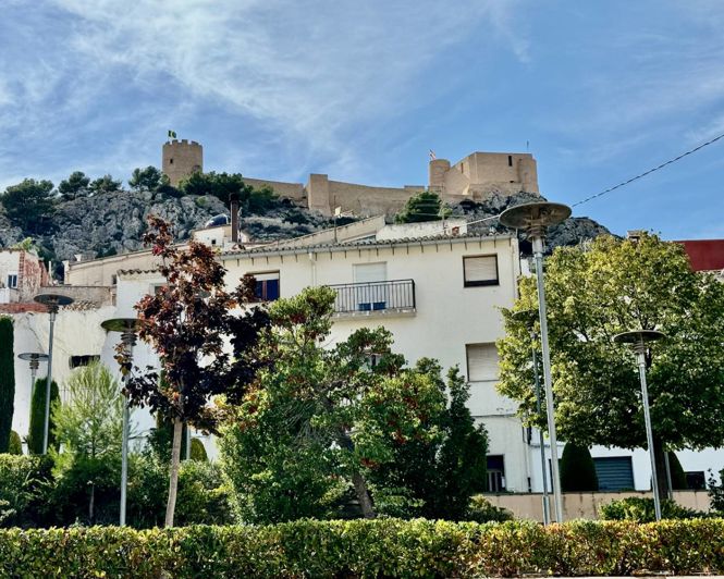 Image No.50-Propriété de 8 chambres à vendre à Castalla