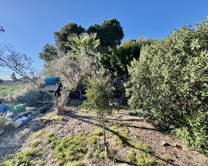 Image No.30-Propriété de 4 chambres à vendre à Guardamar del Segura