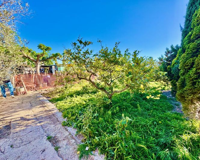 Image No.31-Propriété de 4 chambres à vendre à Guardamar del Segura