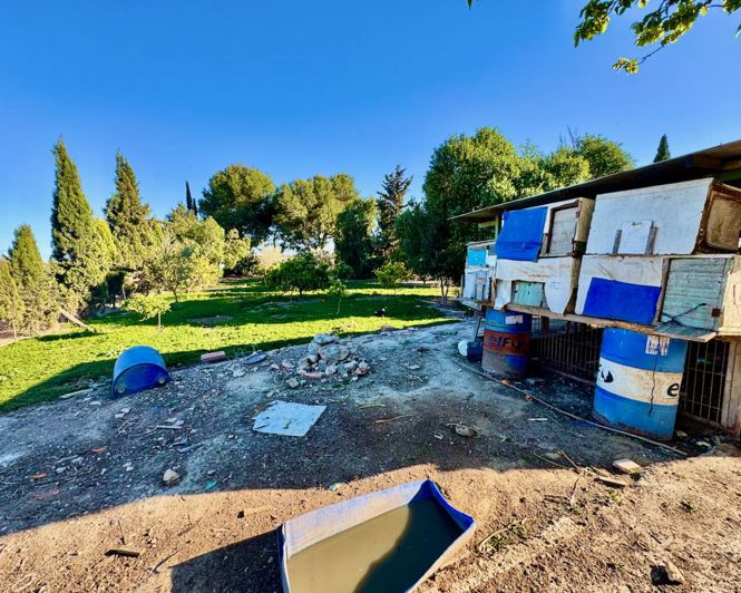 Image No.33-Propriété de 4 chambres à vendre à Guardamar del Segura