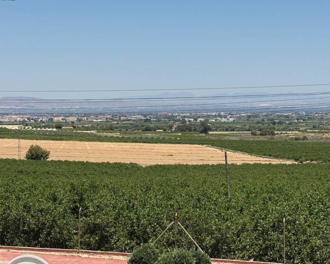 Image No.36-Villa de 5 chambres à vendre à Algorfa