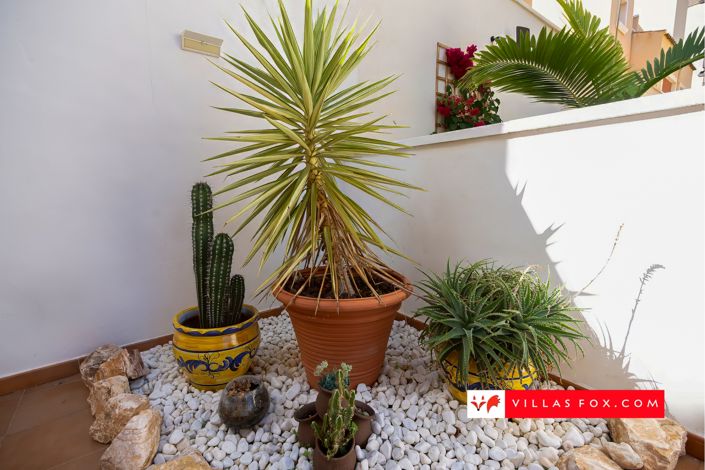 Image No.46-Villa de 4 chambres à vendre à San Miguel de Salinas