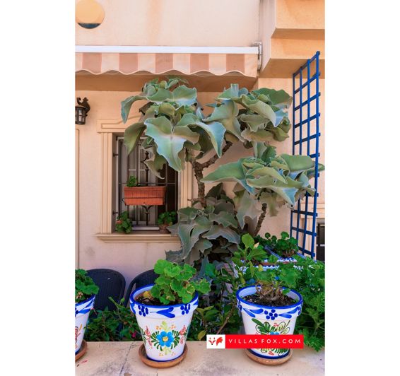 Image No.25-Maison de ville de 3 chambres à vendre à San Miguel de Salinas