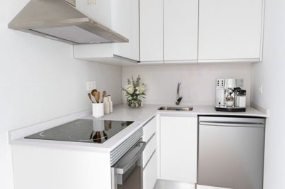 bzpaap115722876721024v006e6