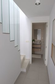 bzpaap115722876841024v0962c