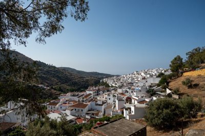 bzpaap116182894321024v0d7b2