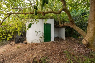 bzpaap116312897331024v048c8