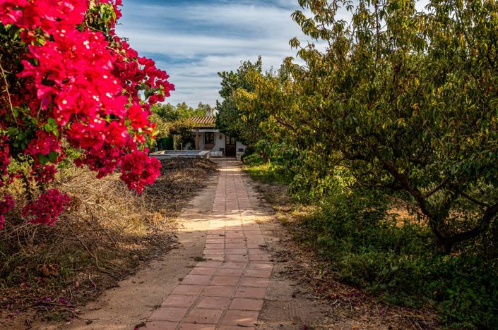 Image No.15-Villa à vendre à Nerja