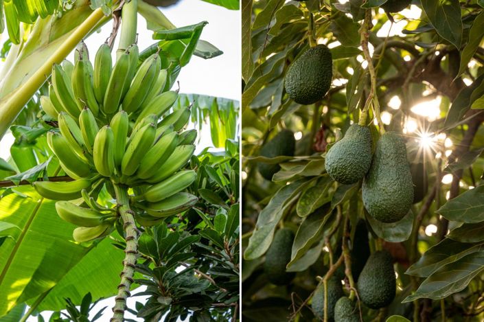 Image No.16-Villa à vendre à Nerja