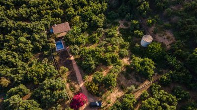 bzpaap116312897181024v0d390