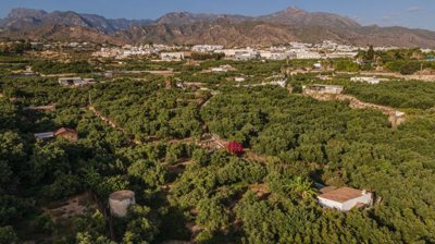 bzpaap116312897191024v0e0d7