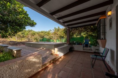 bzpaap116312897231024v0017c