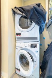 bzpaap116692905061024v006c3