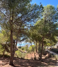 bzpaap117022914171024v0b7d2