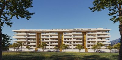 bzpaap117162917431024v0cf36