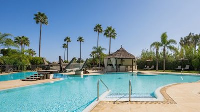 bzpaap117372924981024v0b911