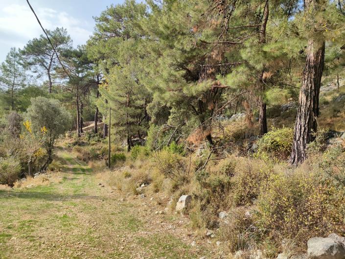 Image No.4-Terrain à vendre à Kas