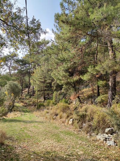 Image No.8-Terrain à vendre à Kas