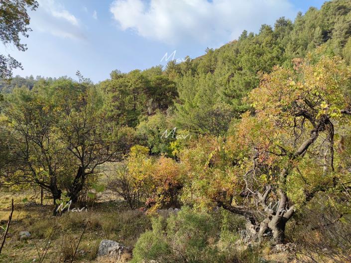 Image No.9-Terrain à vendre à Kas