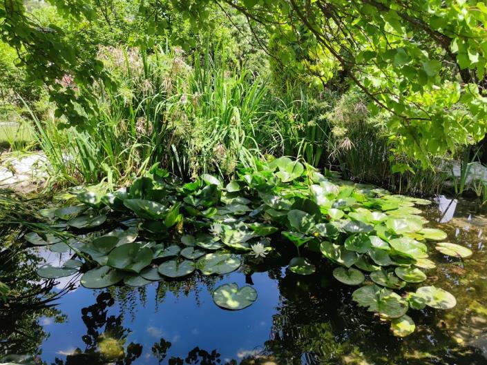 Image No.33-10 Bed Country Property for sale