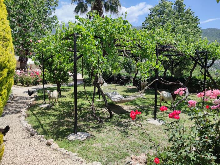 Image No.36-10 Bed Country Property for sale