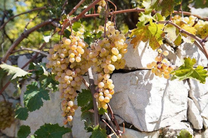 Image No.26-Villa / Détaché de 4 chambres à vendre à Kalkan