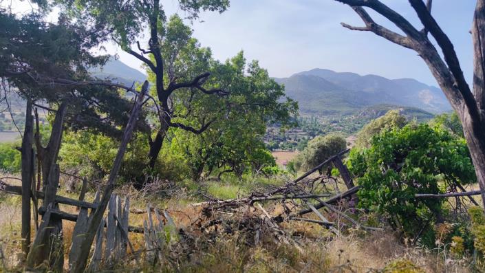 Image No.8-4 Bed Country Property for sale