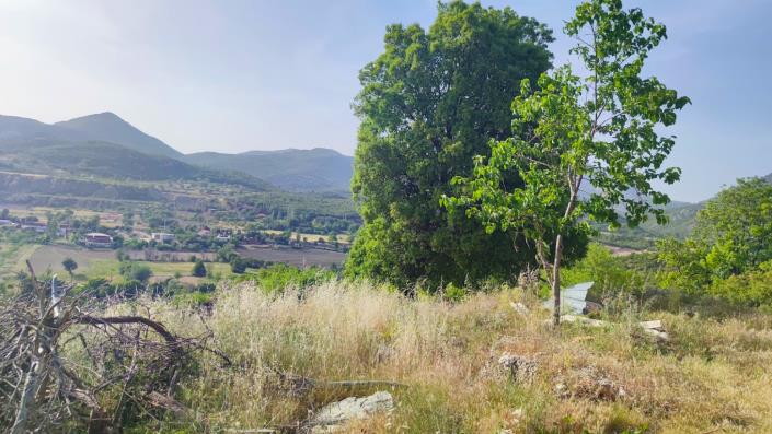 Image No.5-4 Bed Country Property for sale