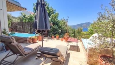 919f8242-0b71-49ce-a527-e5249c21ea46