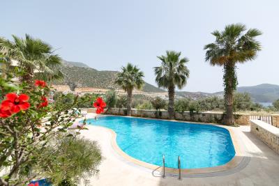 51090830_2322812241086235_943139590879838208_n