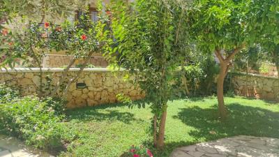 186125_KLV278_IMG_05_0001