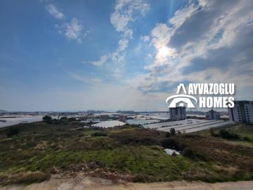 WhatsApp-Image-2025-01-08-at-20-13-33