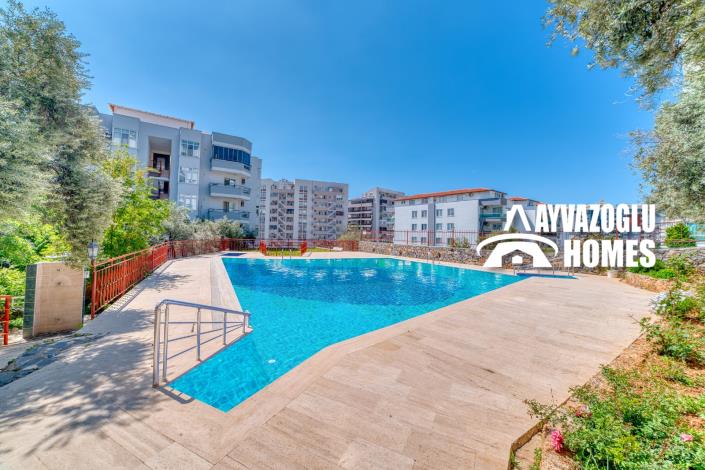 Image No.3-1 Bed Apartment for sale