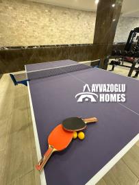 PHOTO-2025-02-26-20-45-04-1-