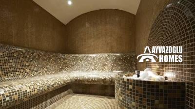 5e8866a7-54ef-4725-86a6-200aedcfc31c