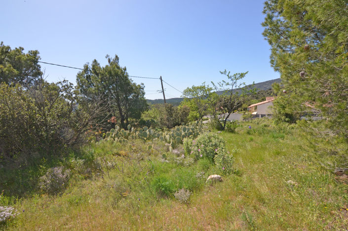 Image No.3-1 Bed Land for sale