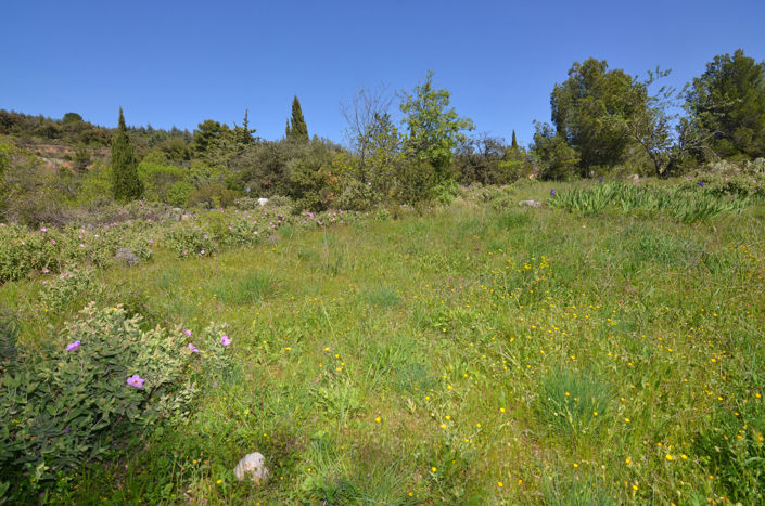 Image No.5-1 Bed Land for sale