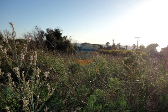 Image No.5-Terre à vendre à Svoronata