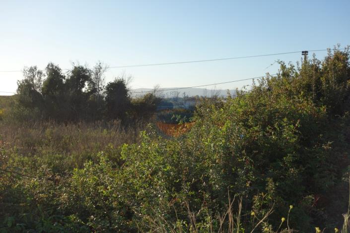 Image No.9-Terre à vendre à Svoronata